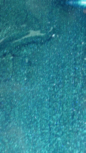 E.MiLac #456 TL Glacier Water 9 ml.